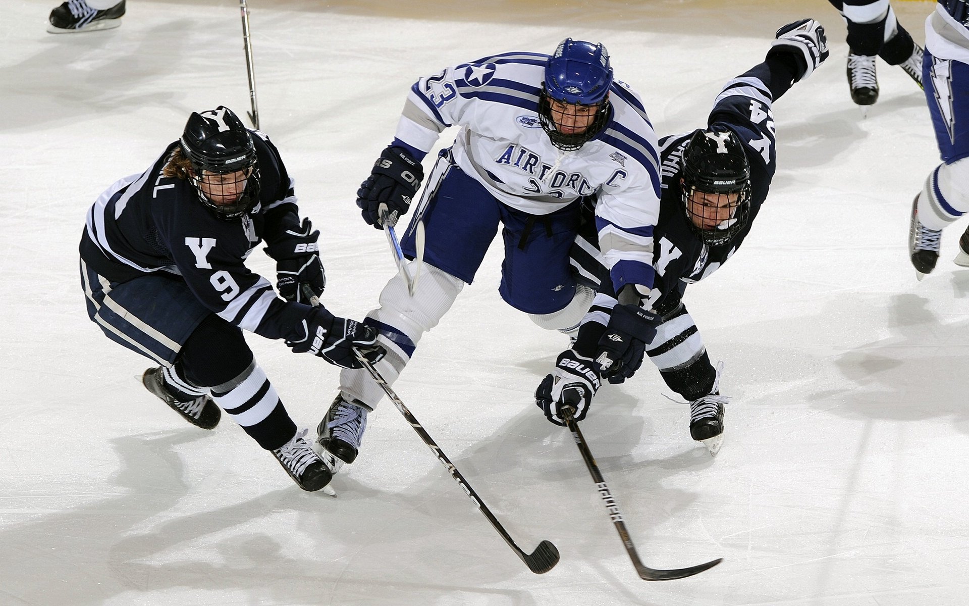 球迷支持热烈,现场气氛火爆!,球迷的热情