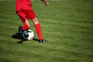 中国足球教练员国际交流经验对本土训练体系的影响，国际足球教练员培训教程